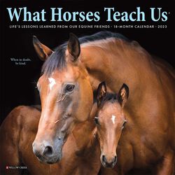 Willow Creek Press 2023 Mini Wall Calendar - What Horses Teach Us