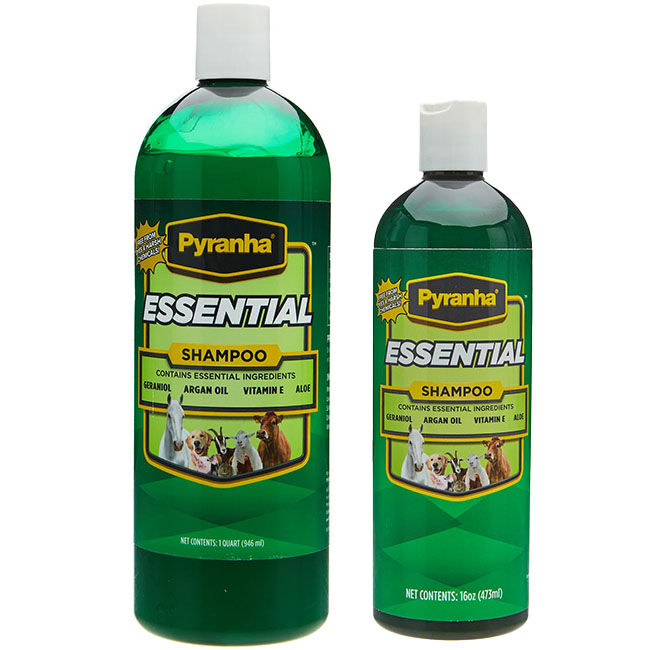 Pyranha Essential Shampoo image number null