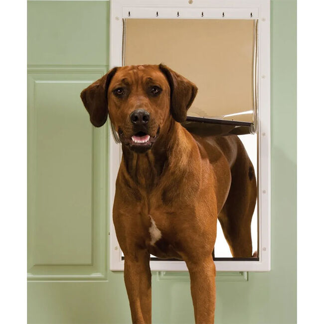 PetSafe Plastic Pet Door image number null