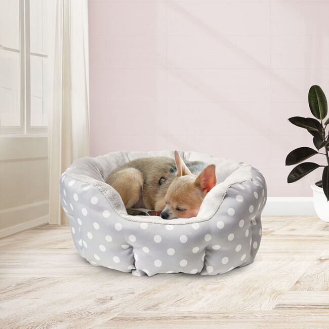 Spot Cosmo Polka Dot Bed - Assorted Colors - Closeout image number null