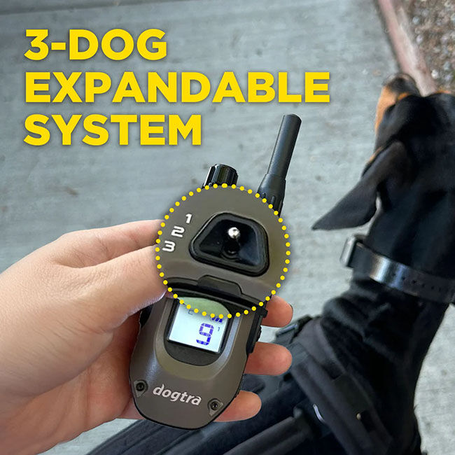 Dogtra 1900X 1-Dog Unit image number null