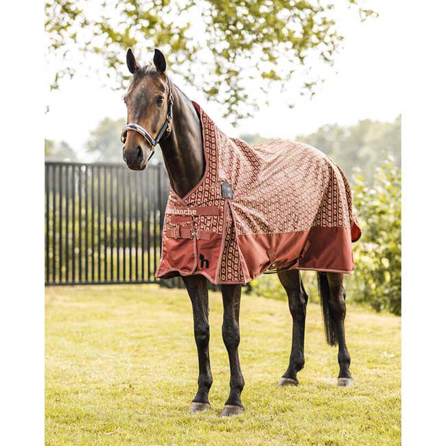 Horze Avalanche Turnout Rug with High Neck (0g) - Smoked Paprika image number null