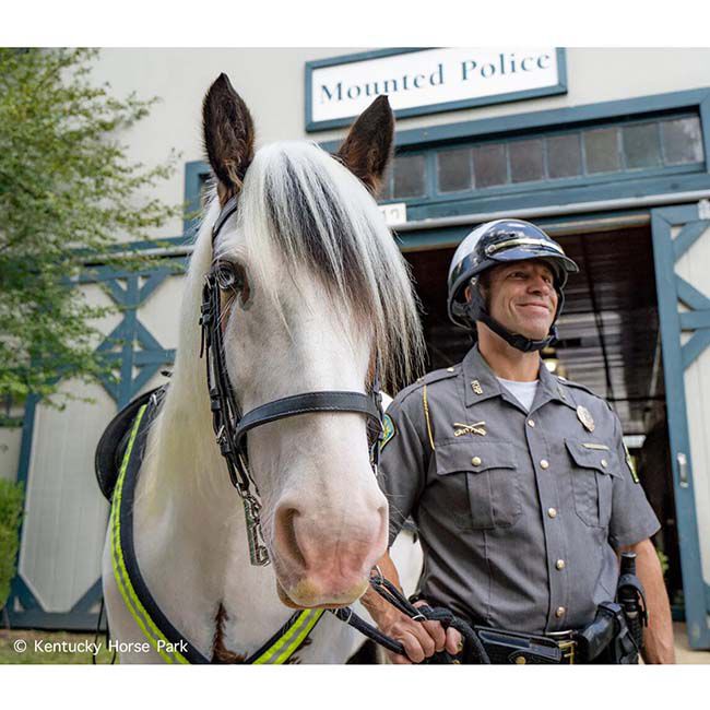 Breyer Legend - Kentucky Horse Park Mounted Police Horse image number null