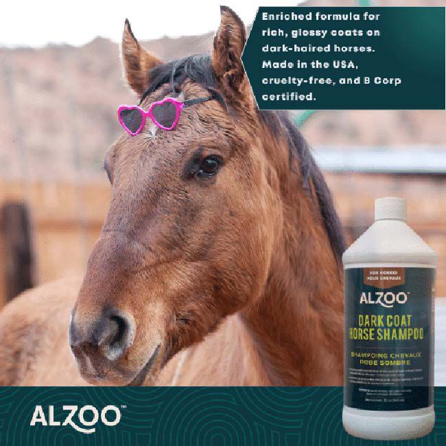 ALZOO Dark Coat Horse Shampoo - 32 oz image number null