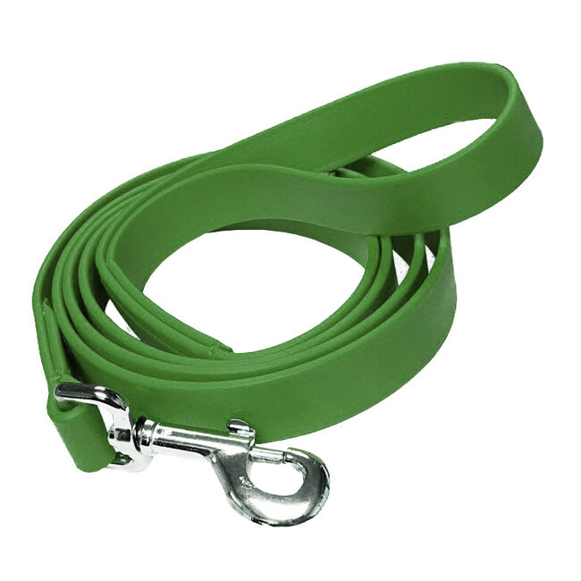 Feather-Weight Waterproof Dog Leash - Green image number null