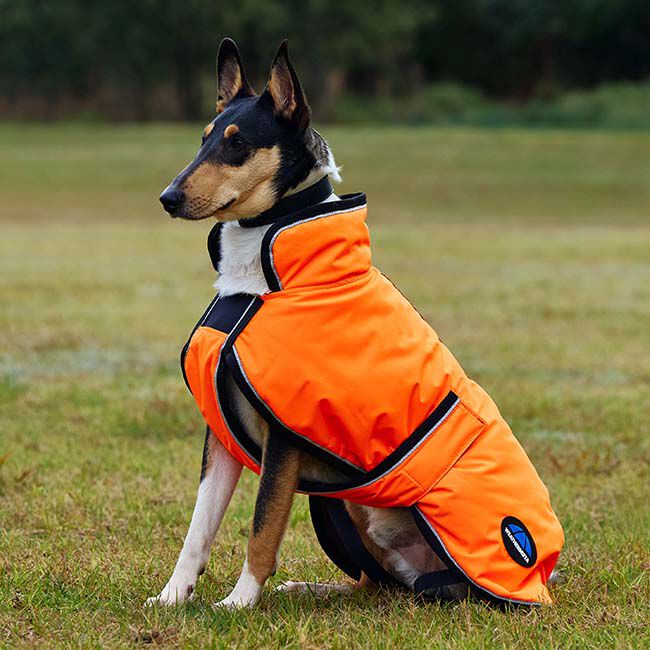 WeatherBeeta ComFiTec Deluxe Showerproof Dog Coat - Orange image number null