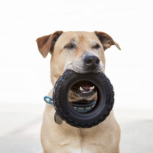 Mammoth TireBiter II Tire Dog Toy Large The Cheshire Horse