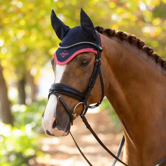 LeMieux Classic Ear Net - Navy/Cranberry image number null