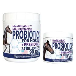 Equa Holistics HealthyGut Probiotics for Horses: Maintenance