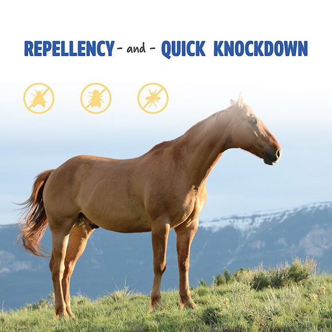 Manna Pro Opti-Force Sweat-Resistant Fly Spray image number null