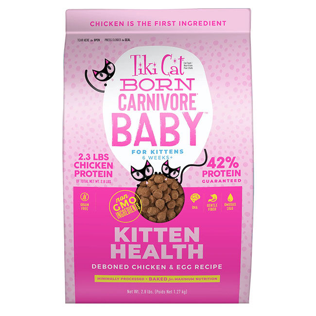 Tiki Cat Baby Born Carnivore Food - Kitten Health: Deboned Chicken & Egg Recipe image number null