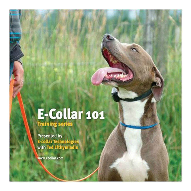 E-Collar Technologies E-Collar 101 DVD image number null