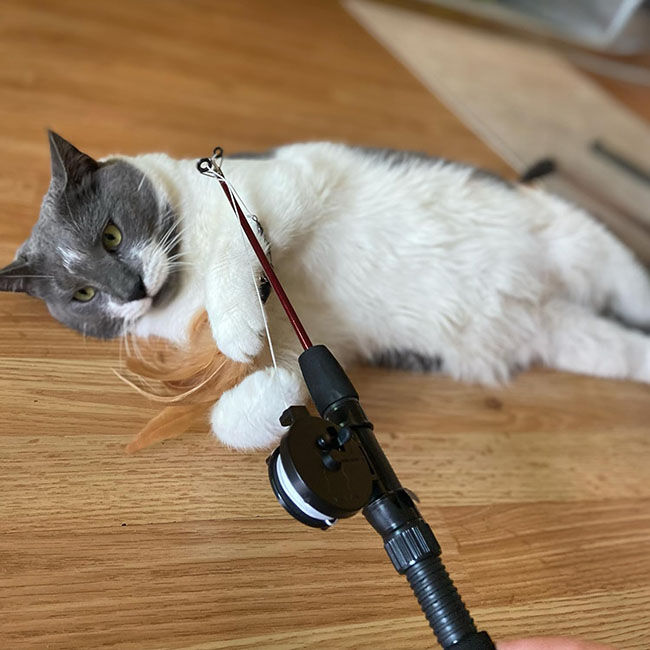 Spot Fishing Rod 'N Reel Kitty Teaser Wand image number null