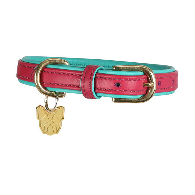 Shires Digby & Fox Padded Leather Dog Collar, Pink image number null