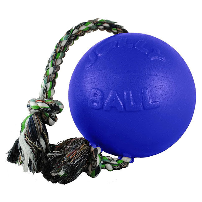 Jolly Pets Romp-N-Roll Dog Toy image number null