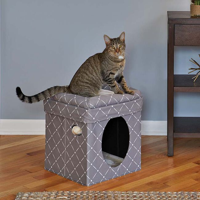 MidWest Homes for Pets Curious Cat Cube - Mushroom Diamond Print image number null