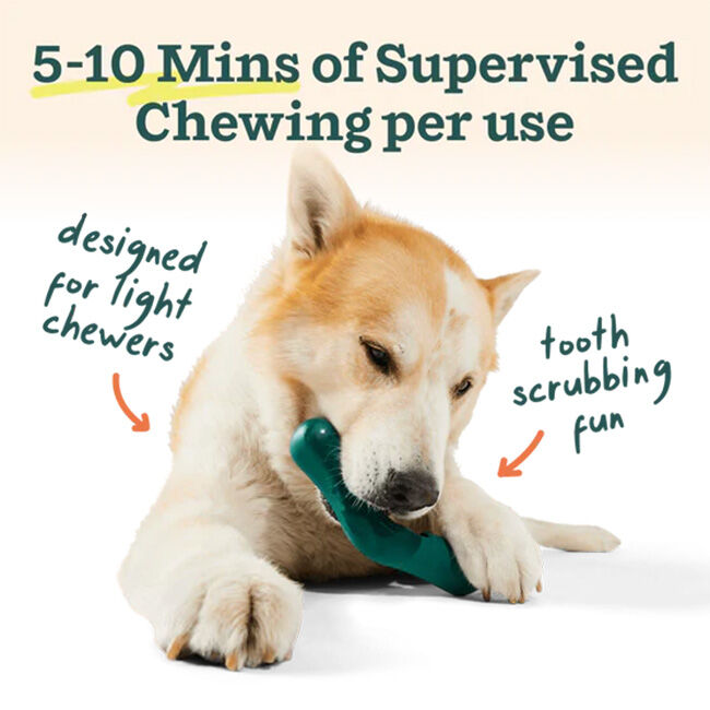 Woof Bite n' Brush image number null