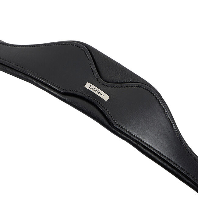 LeMieux Cross-Functional Leather Cavesson - Black image number null