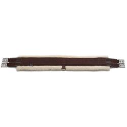 Shires Fleece-Lined Web Girth