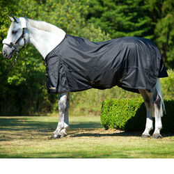 Back on Track Therapeutic Turnout Sheet