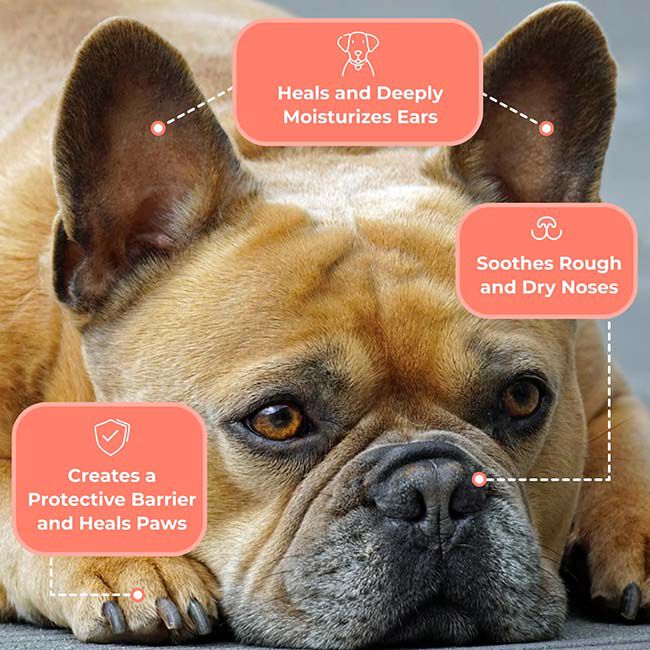 Coat Defense Something Better Balm for Dogs, Cats, Horses & Humans image number null