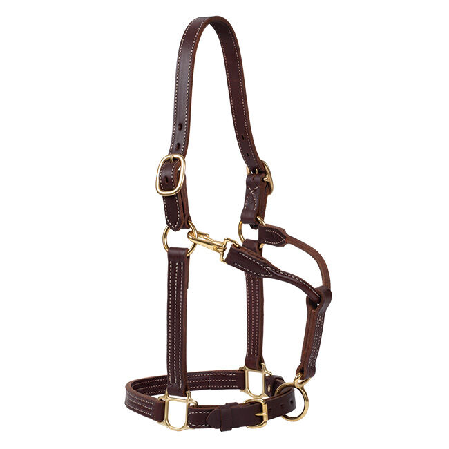 Weaver 1" Track Halter image number null