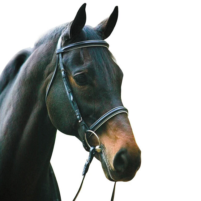HDR Dressage Bridle With Web Reins image number null