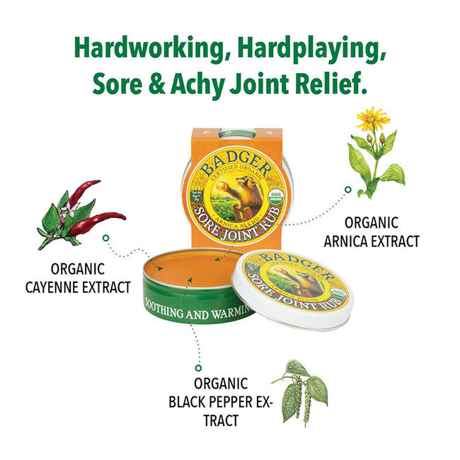 Badger Organic Sore Joint Rub image number null