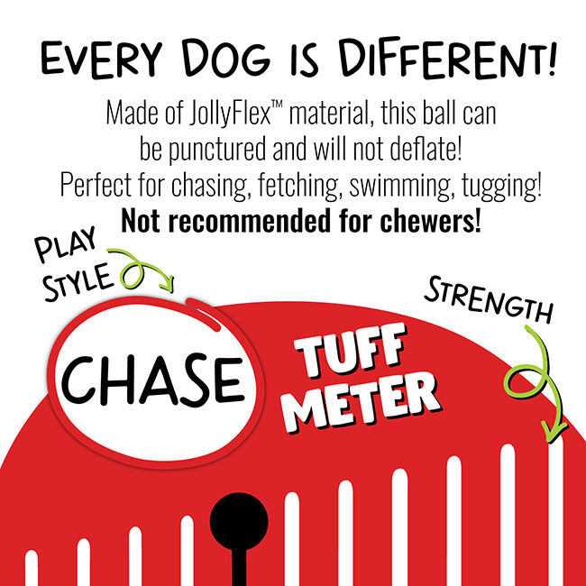 Jolly Pets Tug-N-Toss Dog Toy image number null