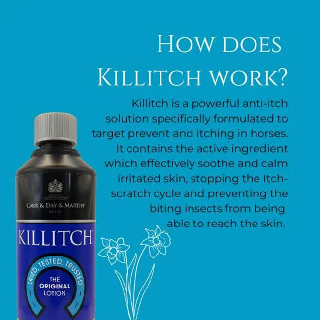 Carr & Day & Martin Killitch image number null