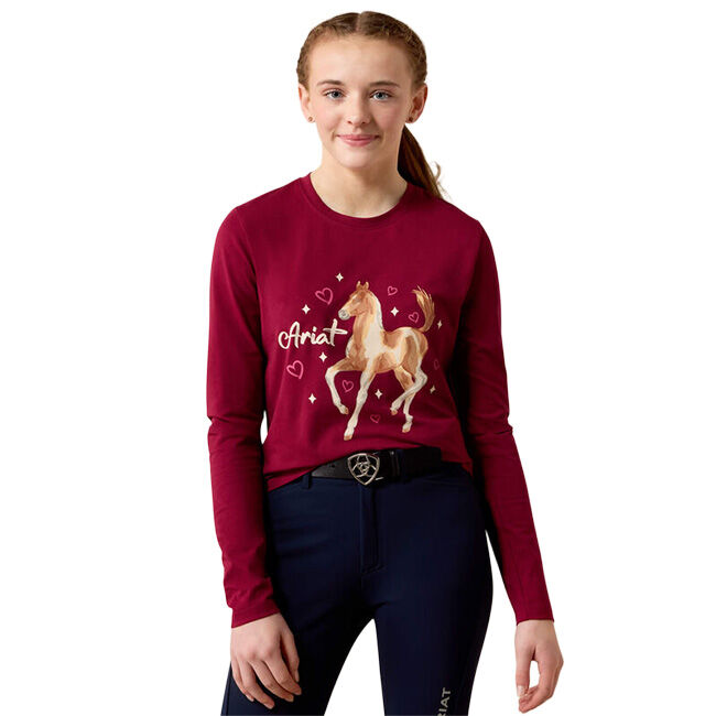 Ariat Kids' Painted Dream T-Shirt - Beet Red image number null