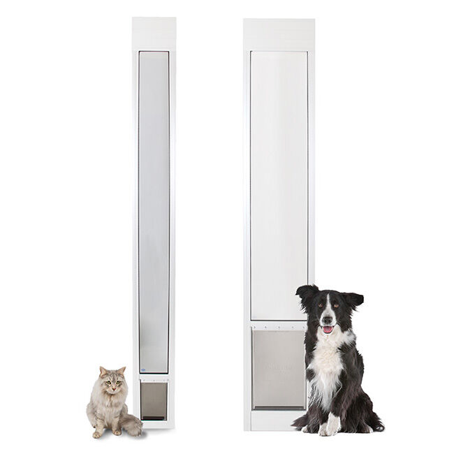 Petsafe sliding glass pet door cheap