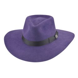 Bullhide Street Gossip in Purple Western Hat