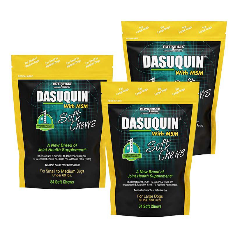 Nutramax Laboratories Dasuquin Joint Health Supplement for Dogs with Glucosamine Chondroitin ASU MSM Boswellia Serrata Extract Green Tea Extract The Cheshire Horse