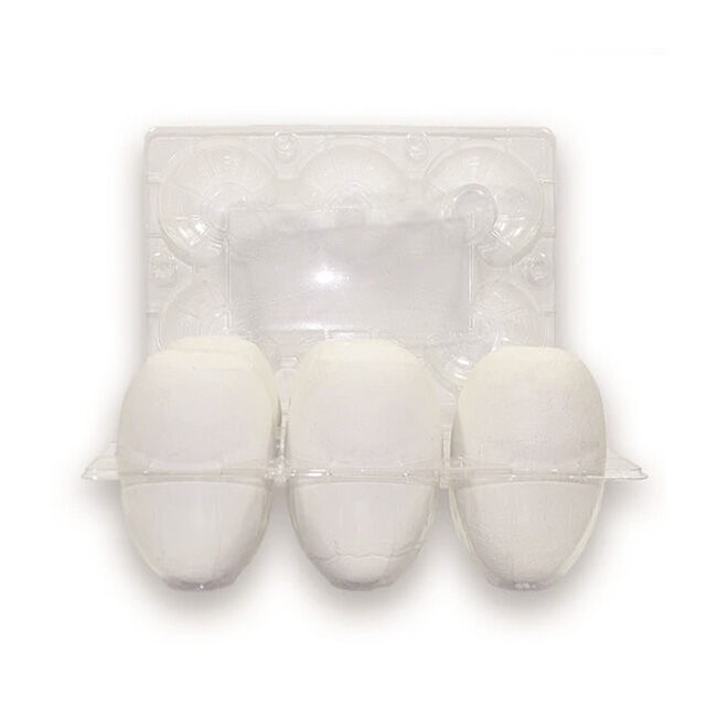 EggCartons.com Goose 6-Egg Plastic Carton image number null