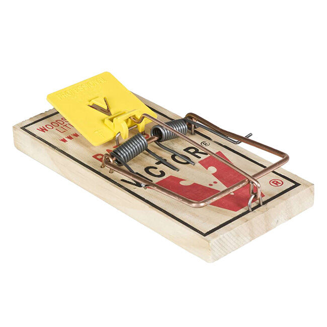 Victor Pest Snap Trap for Rats - Medium image number null