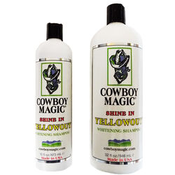 Cowboy Magic Shine In Yellowout