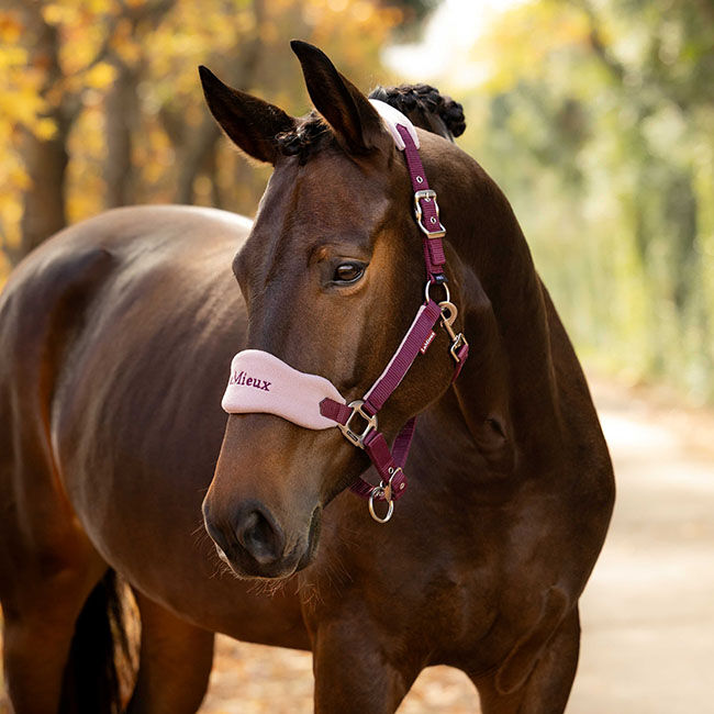 LeMieux Vogue Halter & Lead Rope - Blackberry image number null