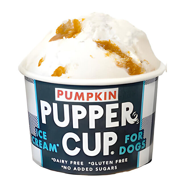 Pupper Cup Ice Cream for Dogs - Pumpkin - 3 oz image number null