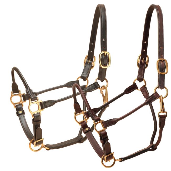 Tory Leather Arabian Rolled Leather Halter image number null