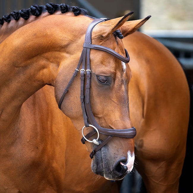 Shires Velociti Lusso Ergonomic Curved Flash Bridle image number null