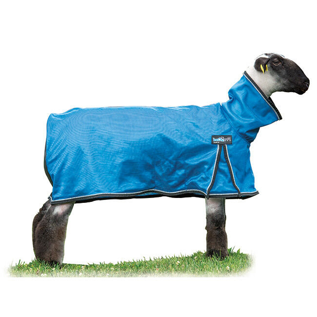 Weaver Livestock ProCool Mesh Sheep Blanket image number null