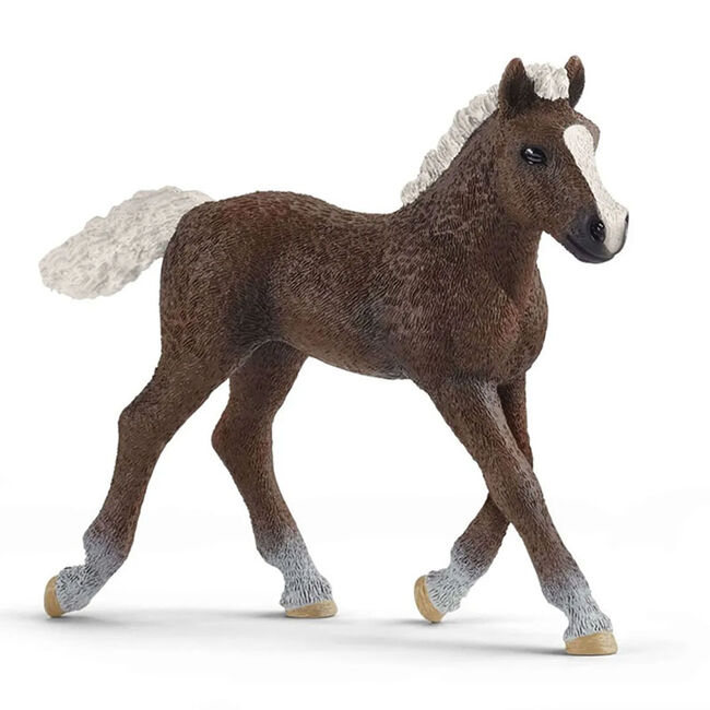 Schleich Black Forest Foal Toy  image number null