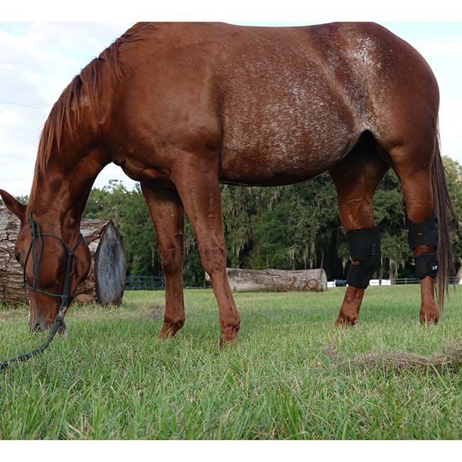 Benefab Rejuvenate Smart Hock Boots image number null