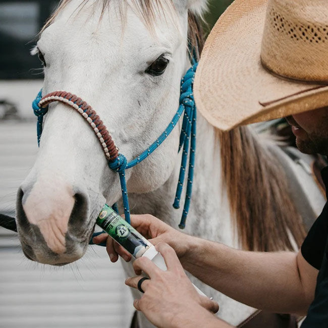 Silver Lining Herbs Colic Eaz for Horses - 80cc Paste Syringe image number null