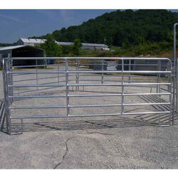 Chubby Baird 6-Bar Galvanized Utility Corral Panel - 5' x 12'