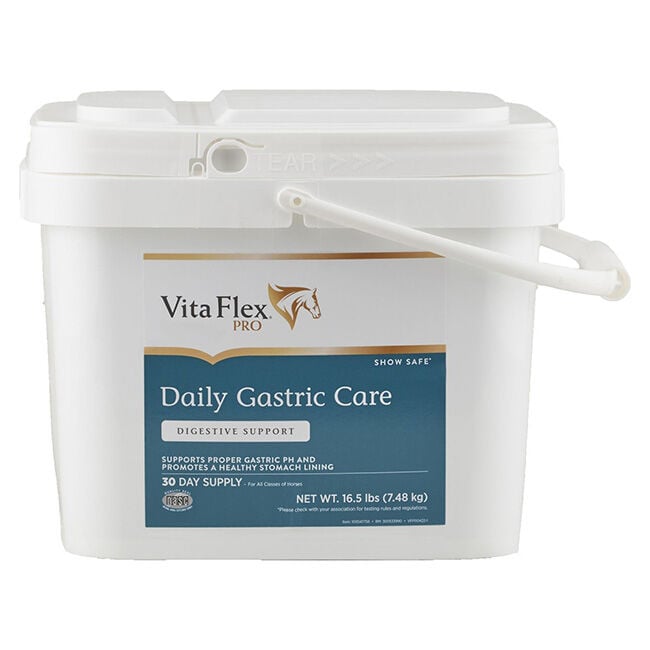 Vita Flex Pro Daily Gastric Care image number null