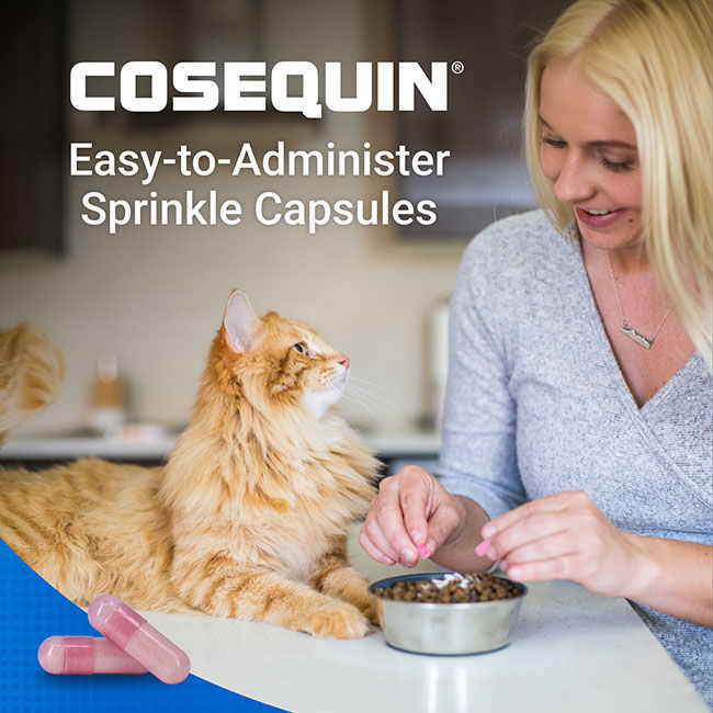 Nutramax Cosequin for Cats Joint Health Supplement, Contains Glucosamine for Cats, Chondroitin, and Omega-3s - Sprinkle Capsules - 80 Capsules image number null