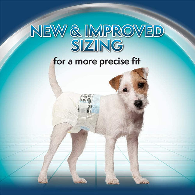 Simple Solution Disposable Female Dog Diapers - 12-Count image number null