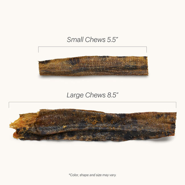 The Honest Kitchen Ocean Chews Natural Dog Treats - Hearty Wolffish Skins image number null